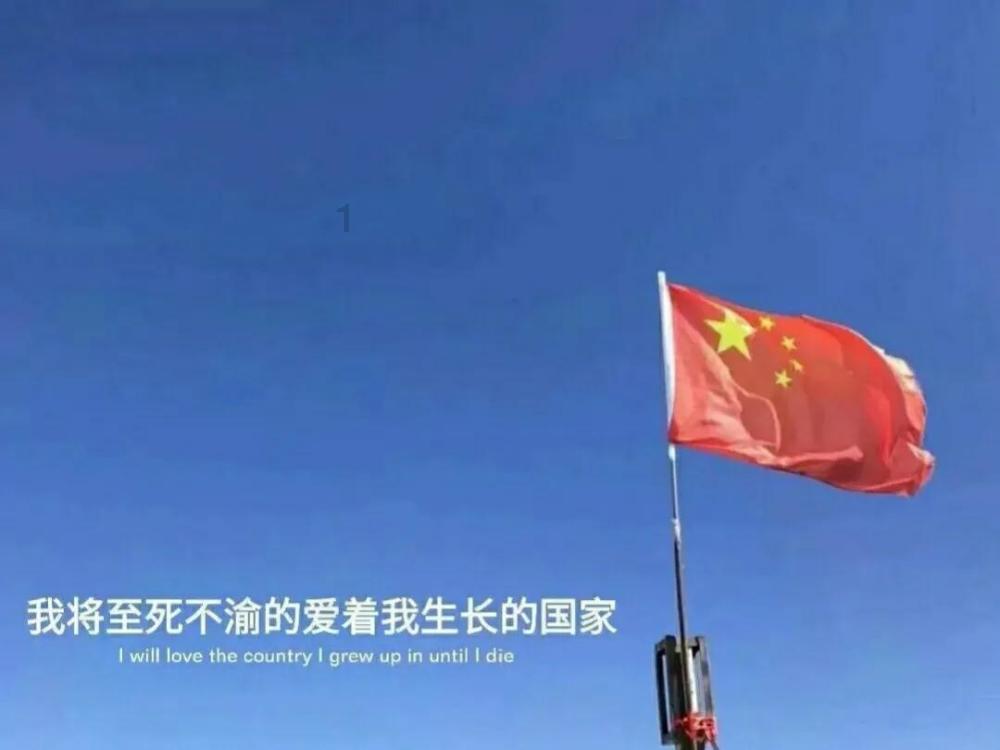 虫虫助手下载